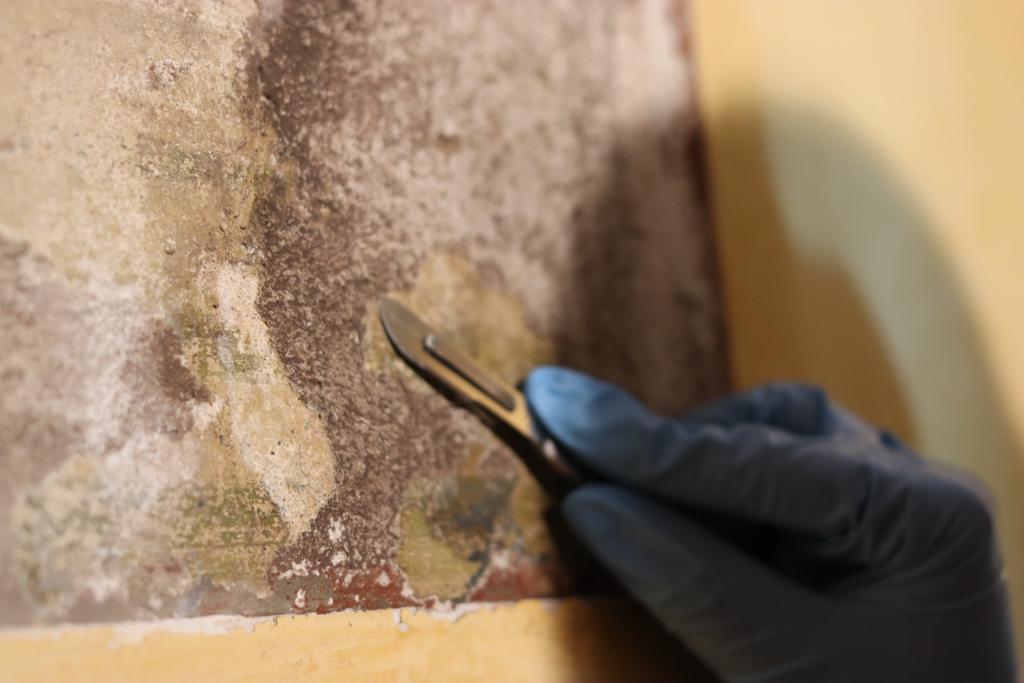 Surface cleaning of painted wall