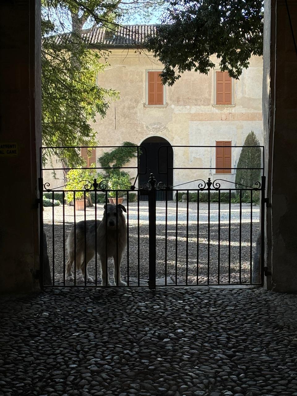 Villa Medici exterior