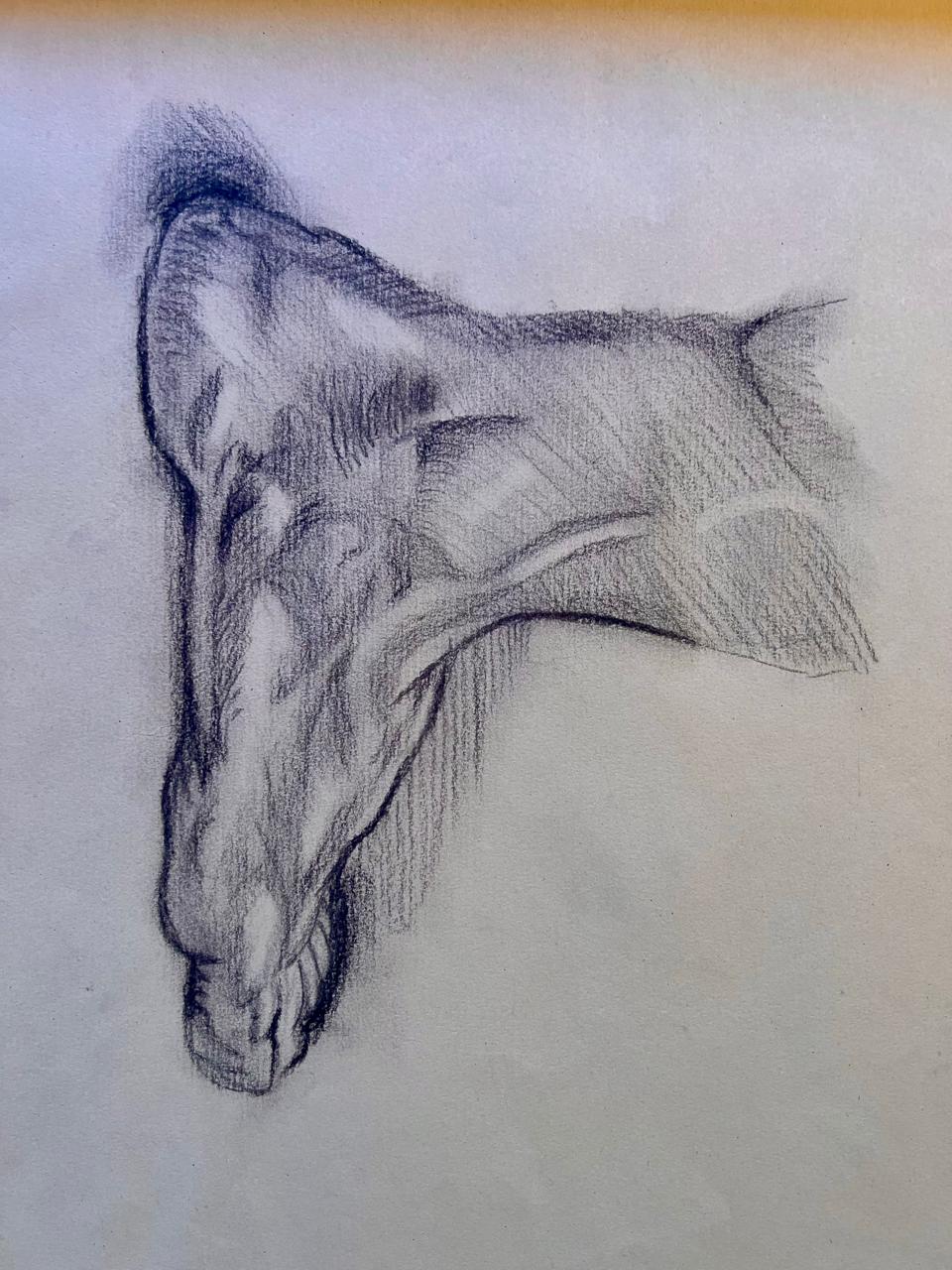 Study of a Foot, after Andrea del Sarto (1515), pencil